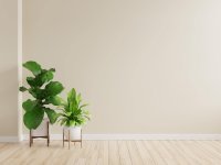 Groen dat niet zal sterven
