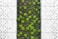 Een plantenwand in huis verandert een kamer compleet